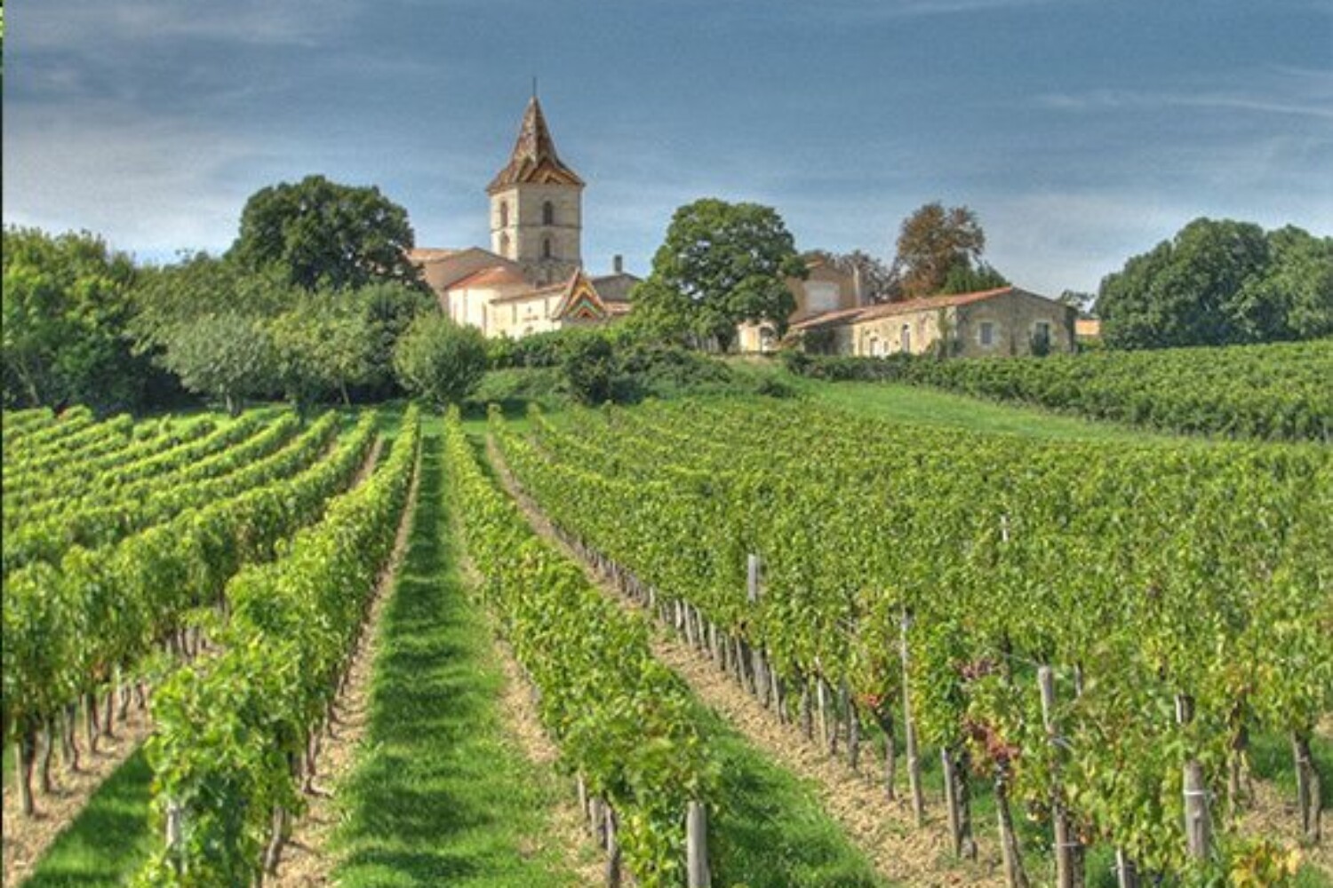 margaux