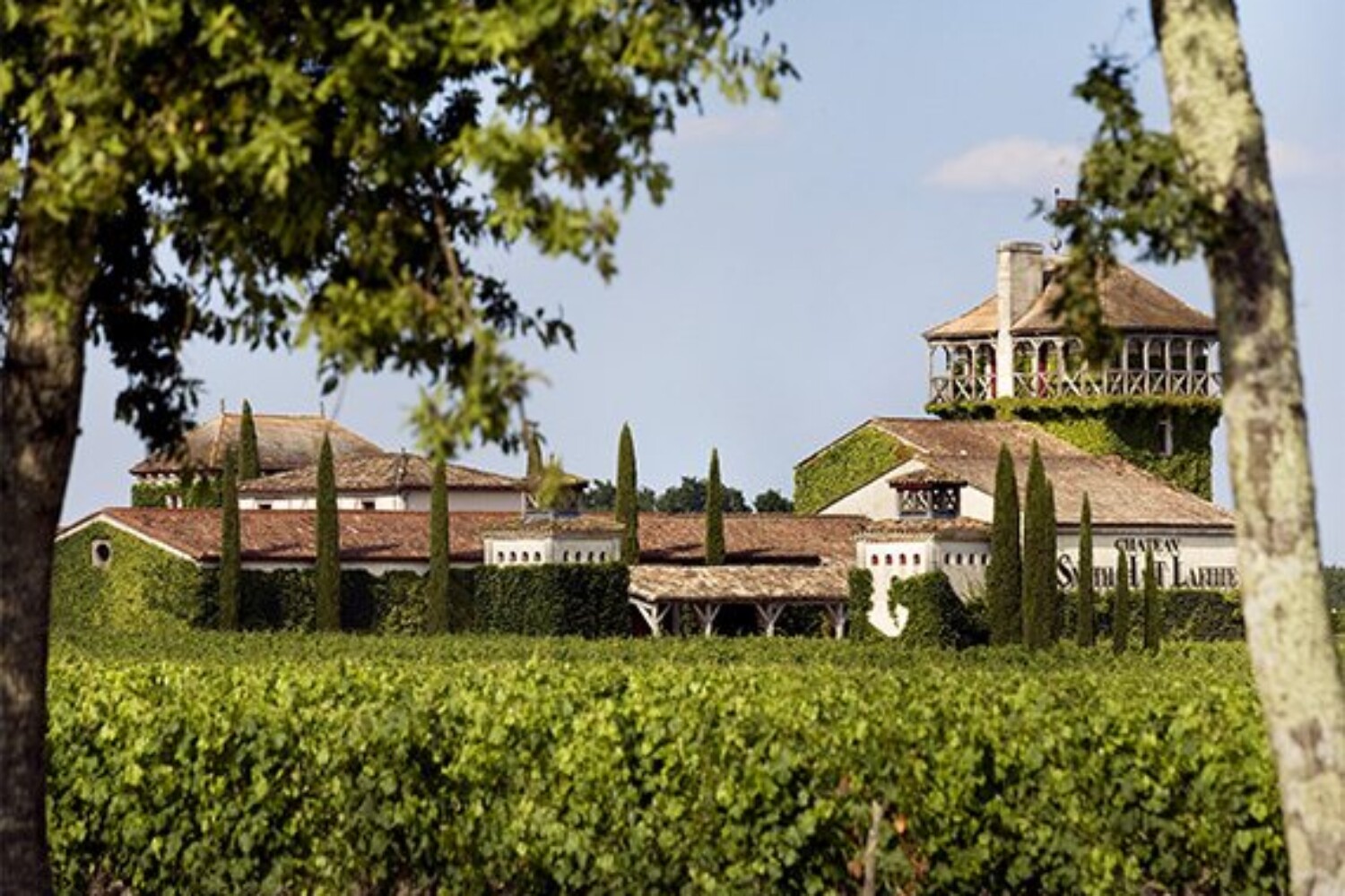 Castles & Terroirs