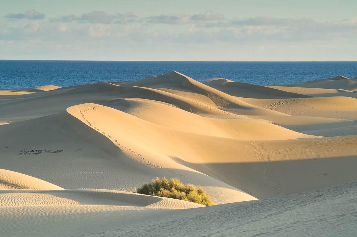 Dune of Pilat and Banc d’arguin